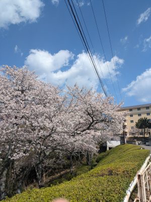 PXL_20250406_012323211