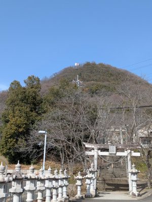 PXL_20260223_051607996