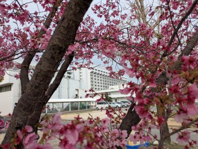 PXL_20260329_062000647